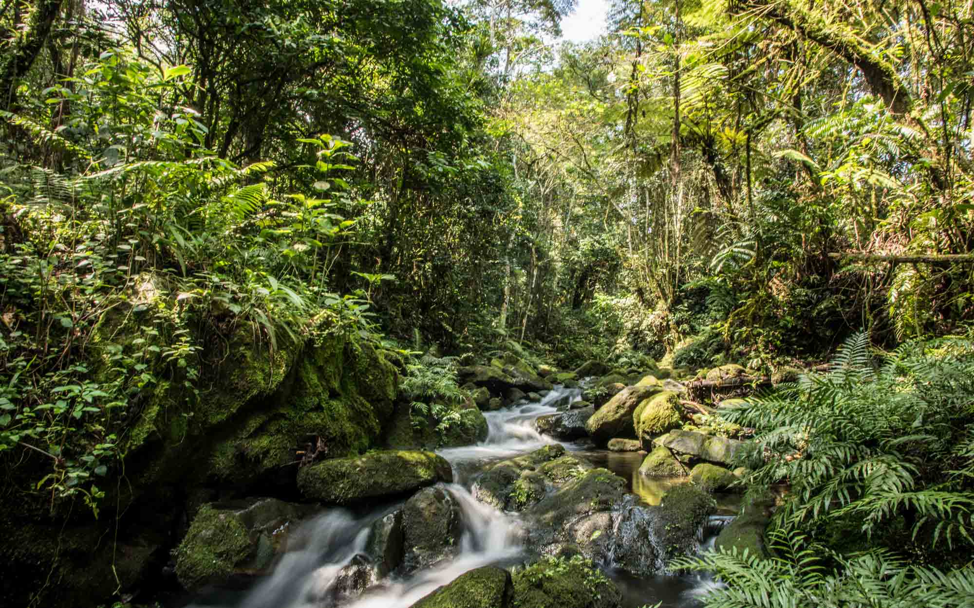 Waterfall walk at Bwindi Lodge