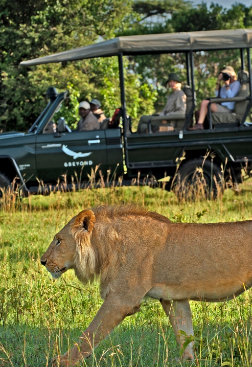 9 Days Serengeti Great Migration Safari Tanzania