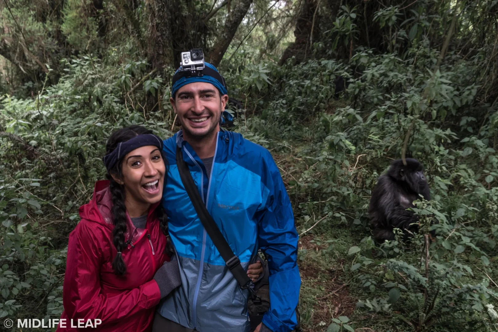 Why Self-Drive Gorilla Trekking in Rwanda Is Gaining Popularity

