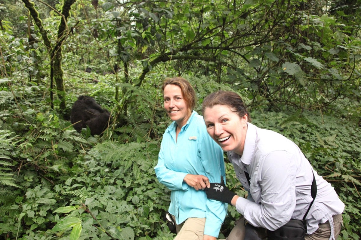 Is Gorilla Trekking Rwanda With Knee Problems Worth It?