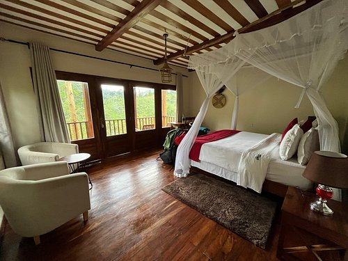 Four Gorillas Lodge accommodation room
