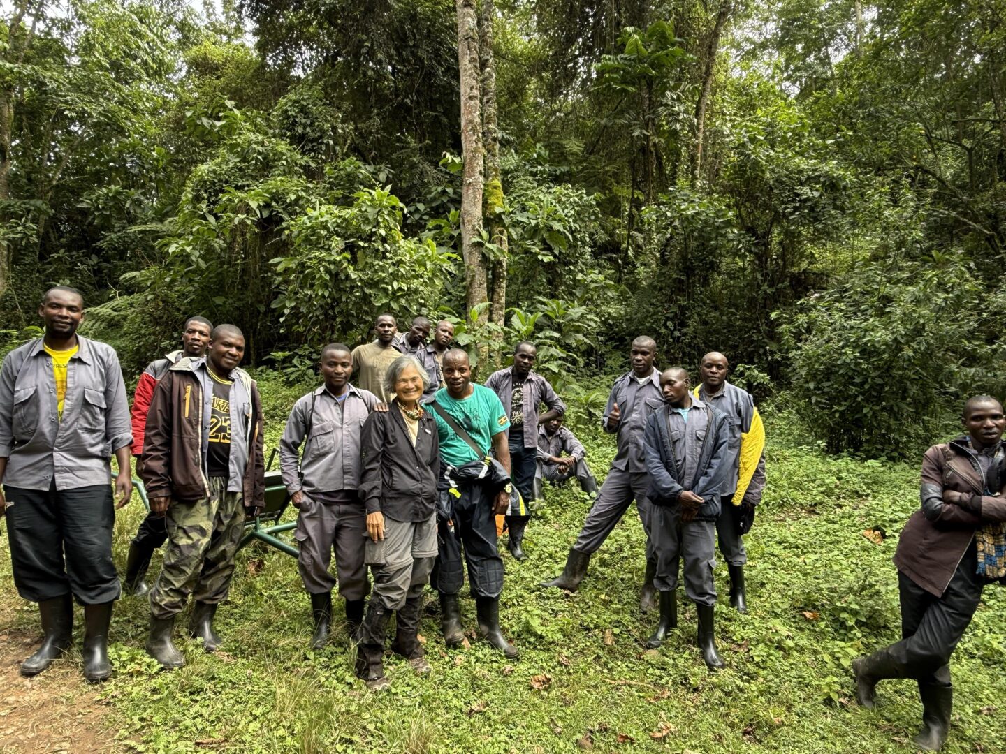 How to Prepare for Gorilla Trekking in Rwanda