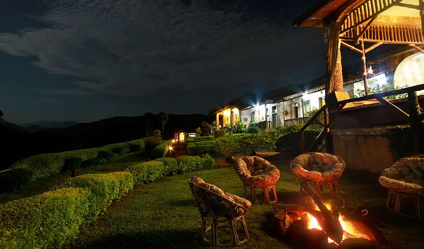 Silverback Lodge stands out for its scenic hillside setting and panoramic views overlooking the forest valley.
