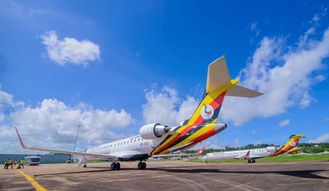 International Airline Cabin Travel Experience