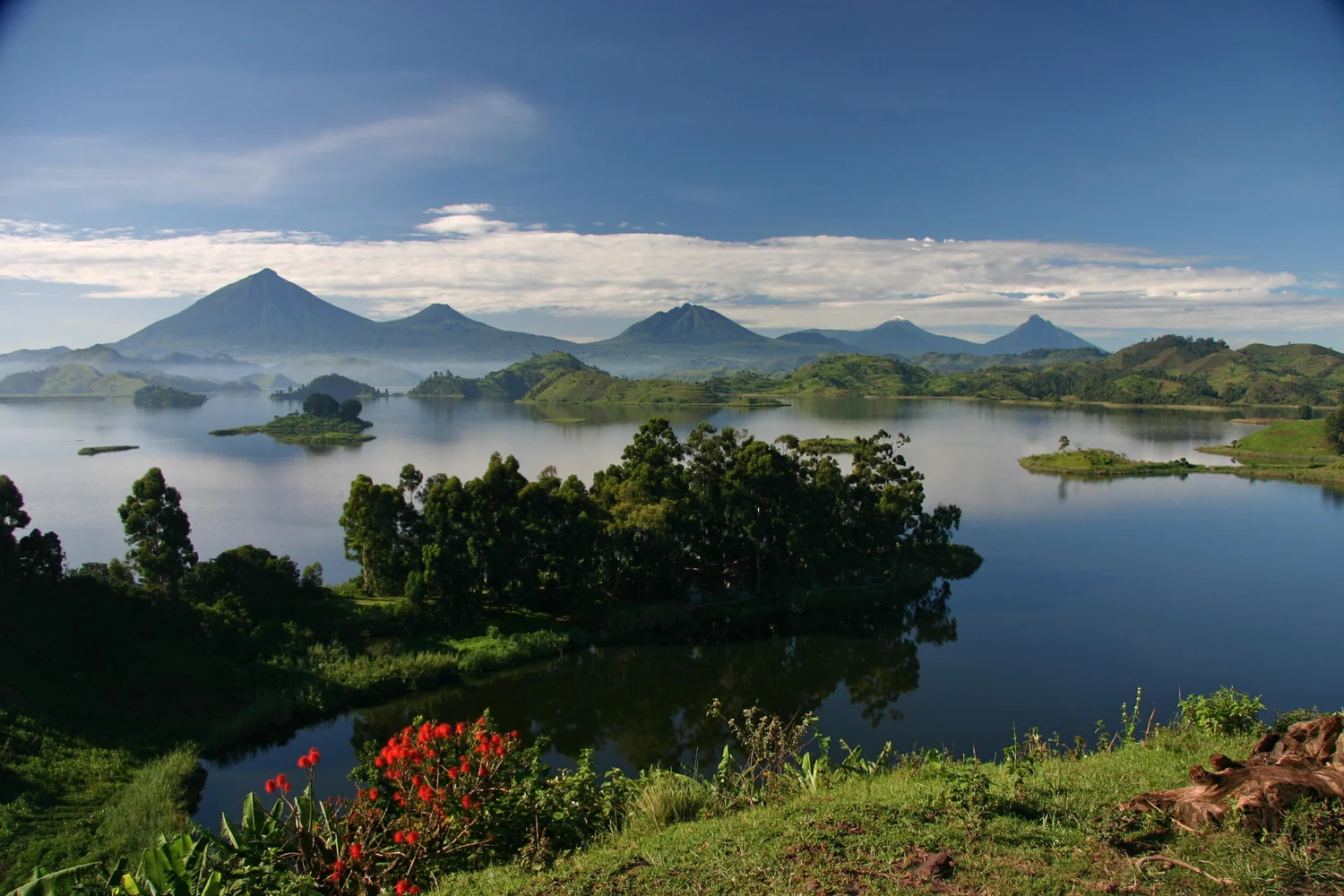 Uganda safari departure experience