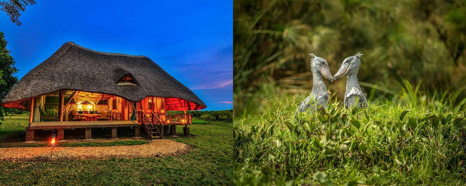 Baker’s Lodge is ideal for travelers who appreciate a classic safari atmosphere combined with comfort and authenticity.
