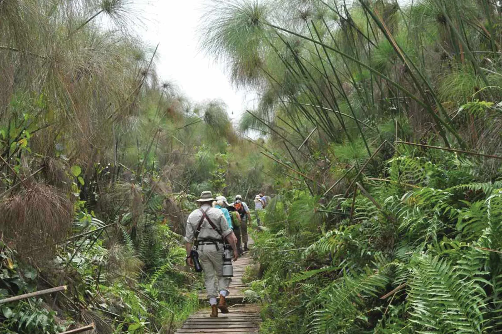Other Activities in Kibale National Park
