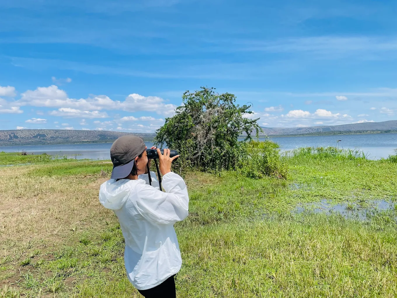 Birding in Akagera National Park Rwanda