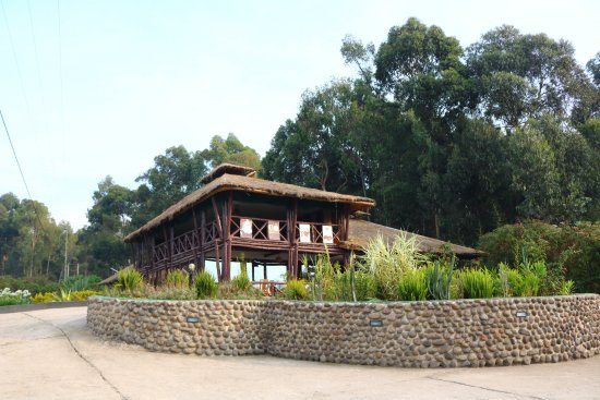 Da Vinci Gorilla Lodge side view Rwanda accommodation