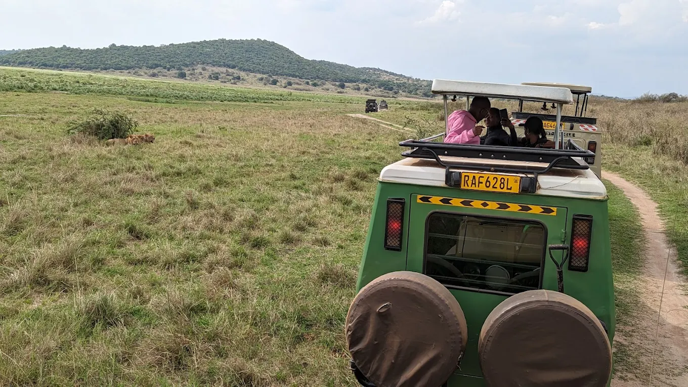Evening Game Drive in Akagera National Park Rwanda