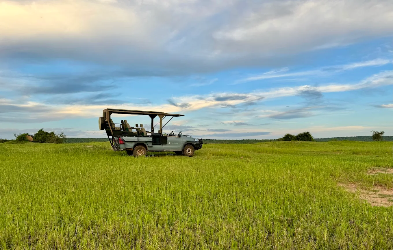 Game drives are one of the main highlights of any stay at Hornbill Bush Lodge. Guided by experienced drivers, these excursions take you deep into the park’s savannah landscapes, where wildlife sightings are frequent and rewarding.

