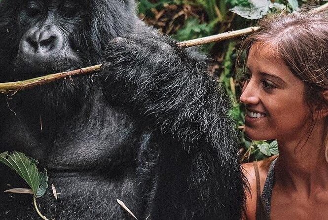 Gorilla Trekking in Rwanda for Female Travelers