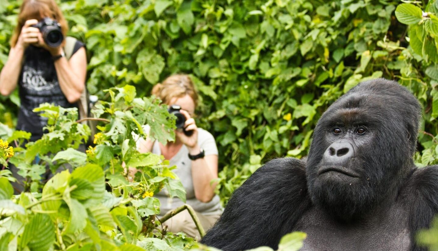 9 Days Women Only Rwanda Wildlife and Gorilla Adventure