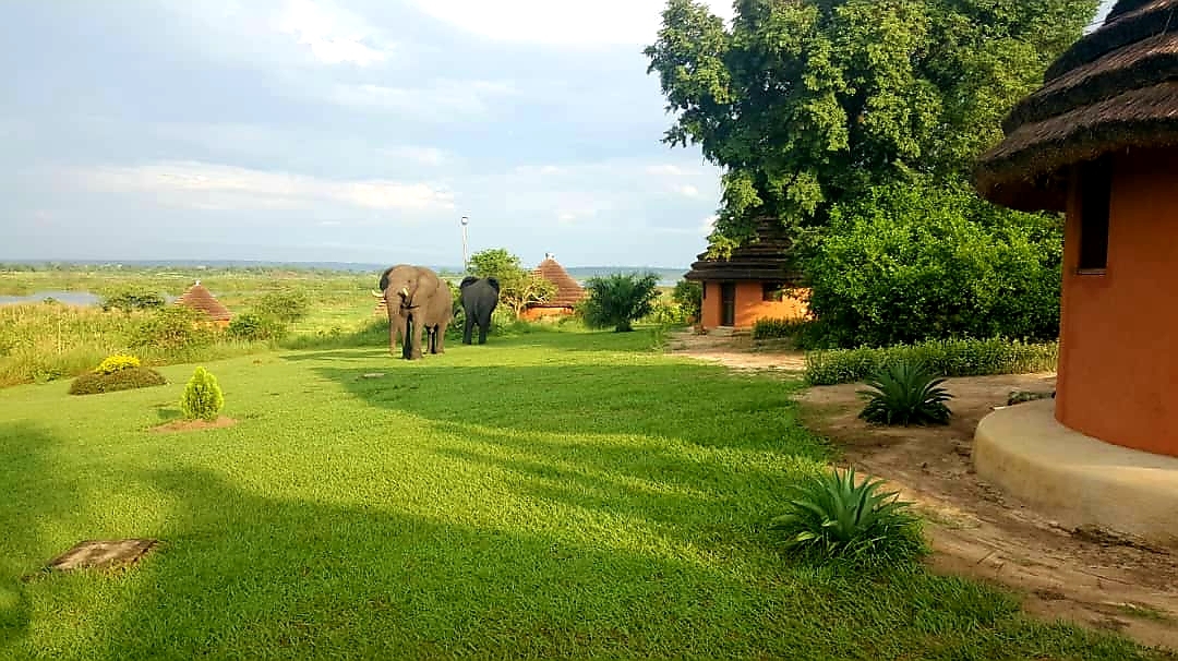 Heritage Safari Lodge surrounding landscape