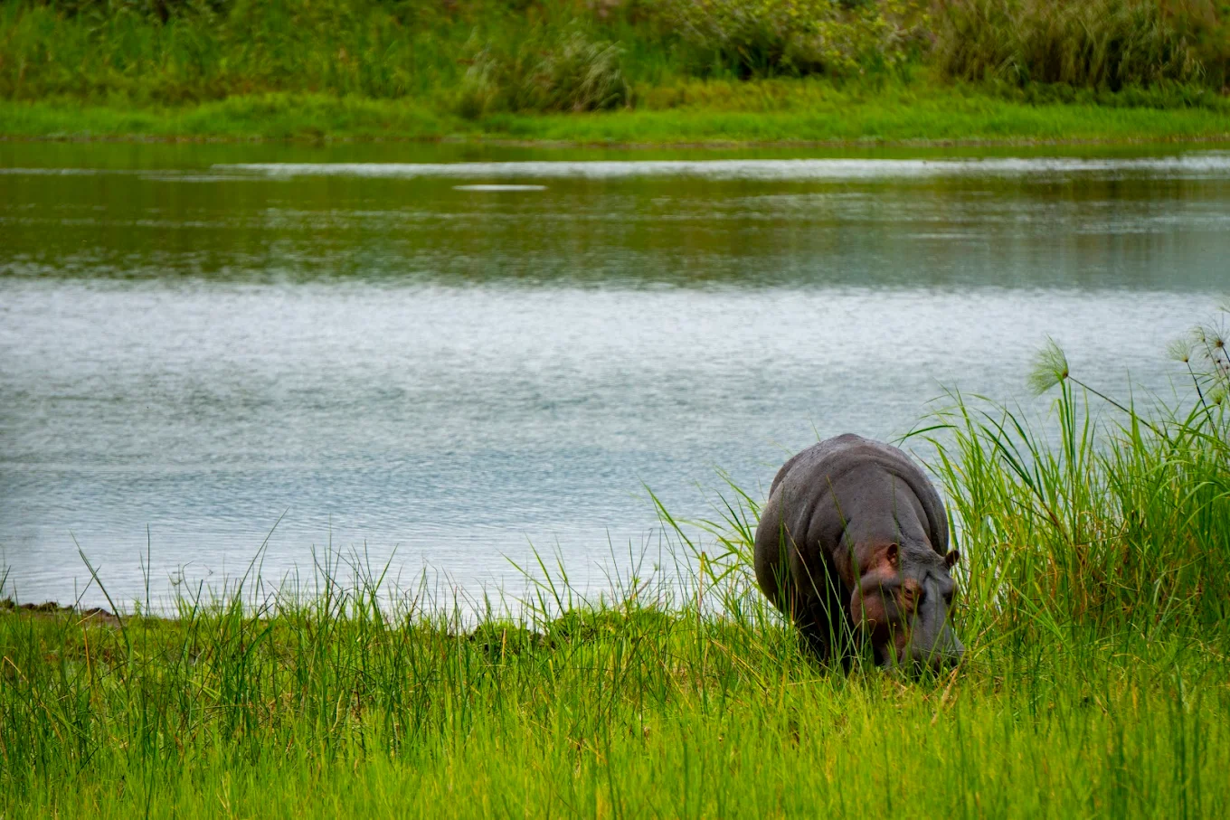 Akagera National Park Rwanda
