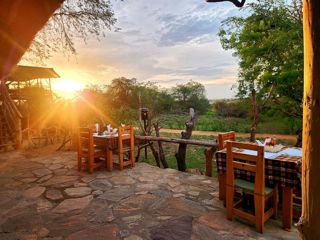 The dry seasons—typically from December to February and June to September—are widely considered the best time for classic safari experiences.
