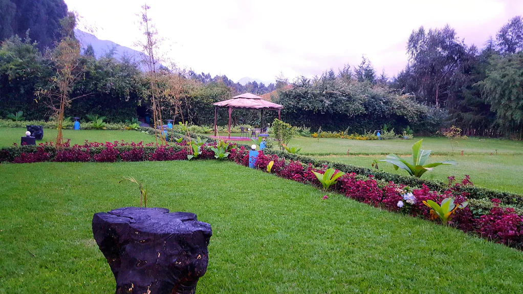 Le Bambou Gorilla Lodge compound and gardens Rwanda