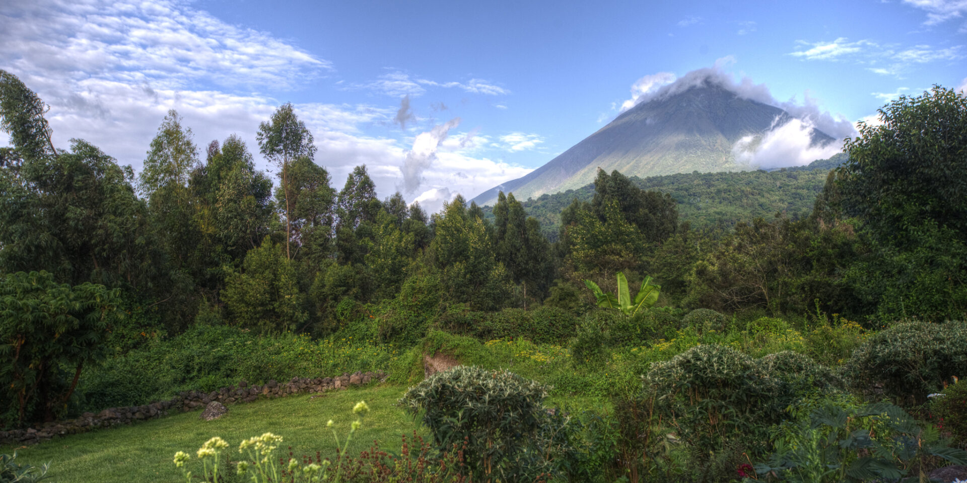 Yes, in overall trip terms, gorilla trekking in Rwanda is often cheaper in the rainy or low season. No, that does not automatically mean every traveler gets a lower gorilla permit price. This is the part many websites oversimplify.