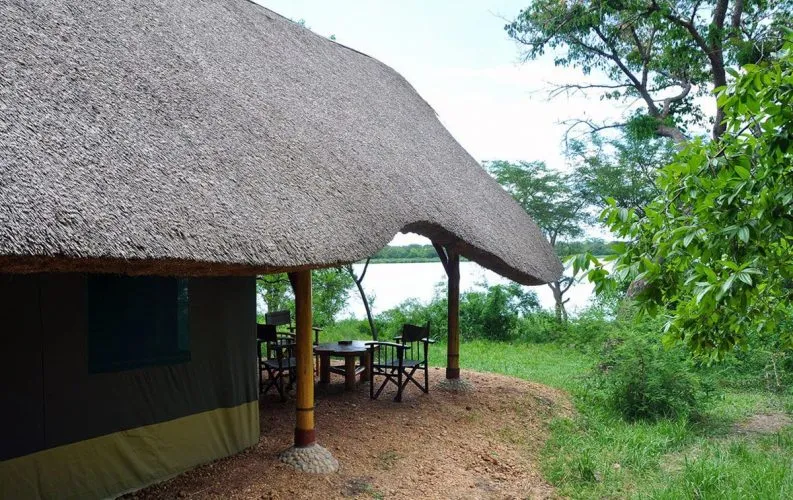 The Murchison Falls, where the Nile River squeezes through a narrow gorge and plunges 43 meters, is one of the most spectacular natural wonders in Uganda. The sight and sound of the water crashing down with incredible force is a mesmerizing experience that should not be missed during your visit. The falls are not only a great attraction to witness up close but also serve as the starting point for boat safaris and hiking adventures.
