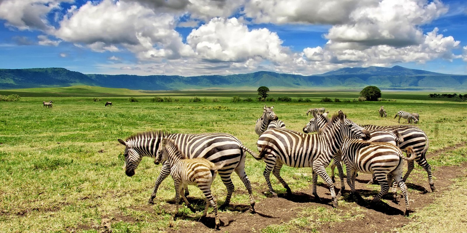 Ngorongoro Crater safari adventure in Tanzania