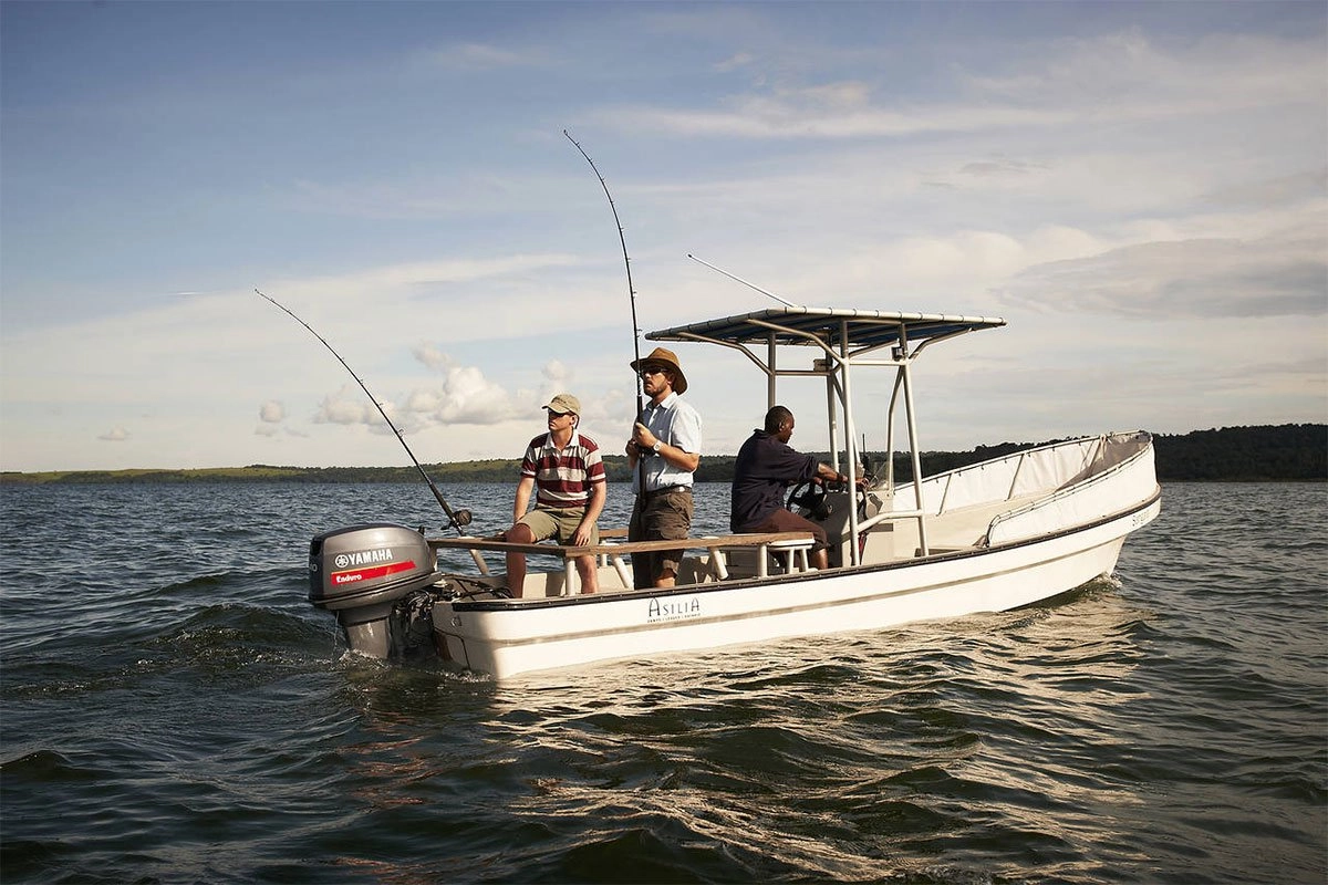 Boat cruises bring you close to:
