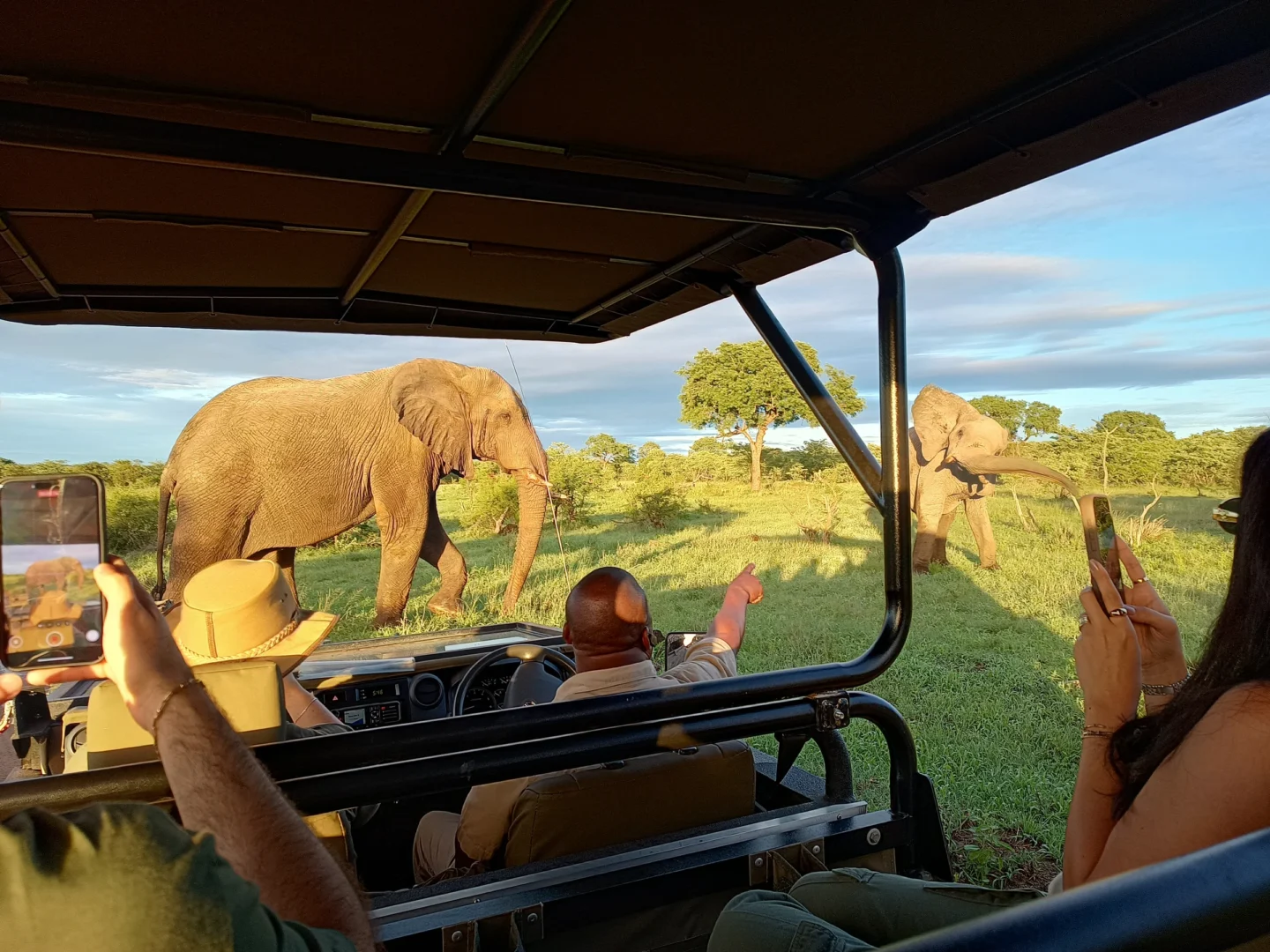 Italian Speaking Guides on Uganda and Rwanda Safari