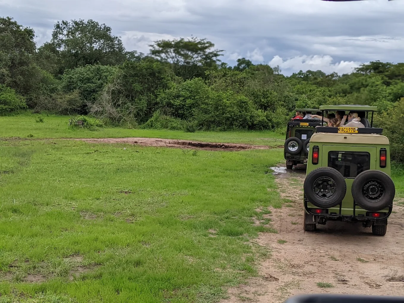 Game Drives
