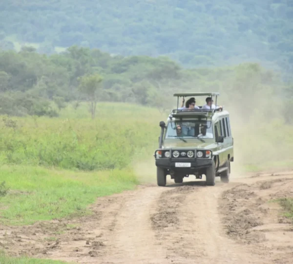 6 Days Rwanda All National Parks Safari