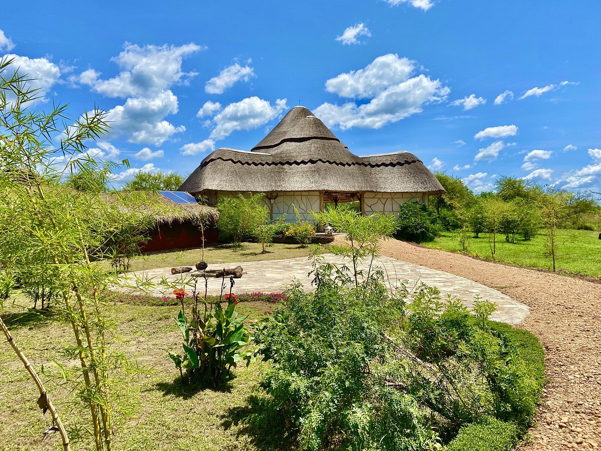 Planning your safari at Sambiya River Lodge is all about enjoying a simple, peaceful, and immersive experience in the heart of Murchison Falls National Park. Whether you're traveling as a couple, family, or solo adventurer, the lodge provides a relaxed environment that allows you to connect deeply with nature while still enjoying comfort and convenience.

