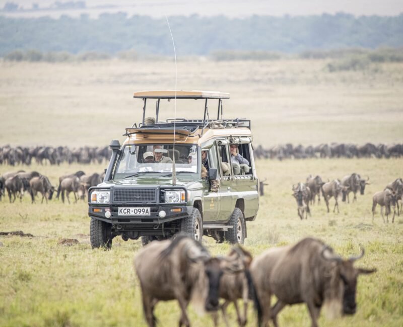 Savannah Murchison Lodge Safari Drives