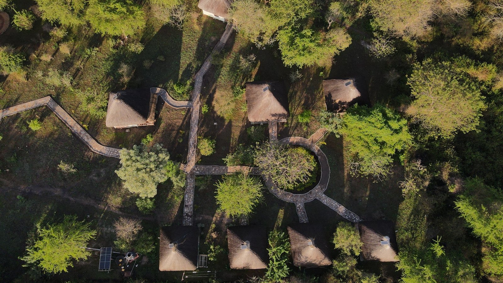 Savannah Murchison Lodge Meanders