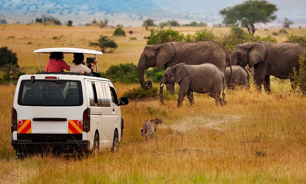 Savannah Murchison Lodge Tour