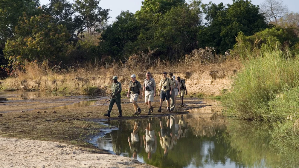 Shoebill Campsite group experience