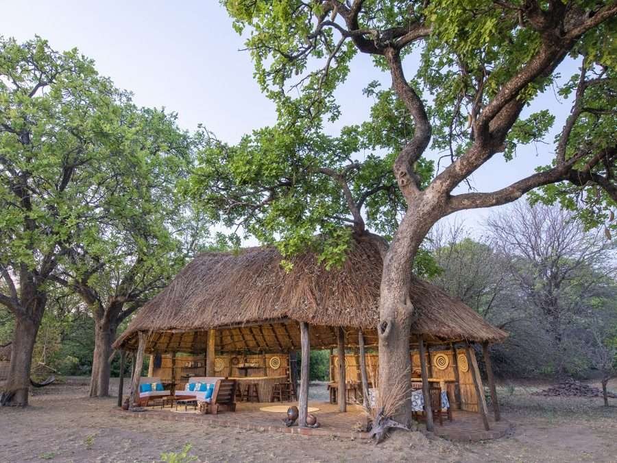 Shoebill Campsite home area