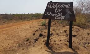 Shoebill Campsite post