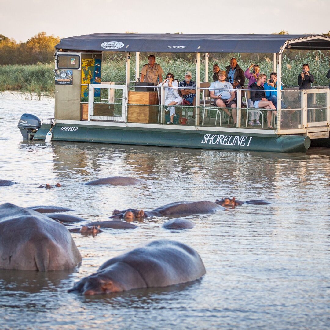 Nile Boat Cruise Hippos Crocodiles Murchison Falls
