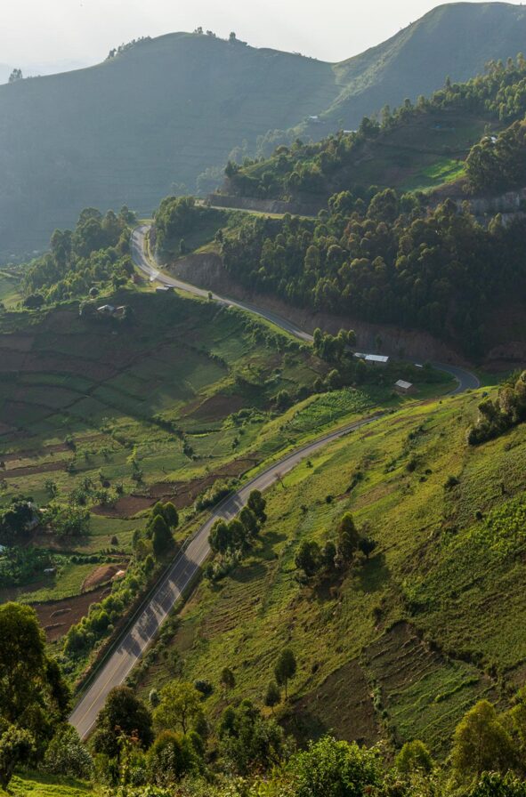 Transfer from Entebbe to Bwindi National Park