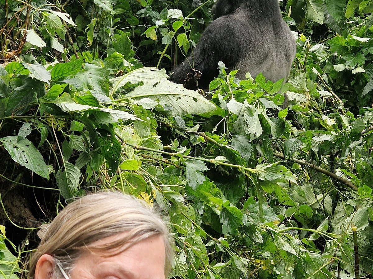 Women tour Uganda 2026 safari experience with Nextgen Safaris