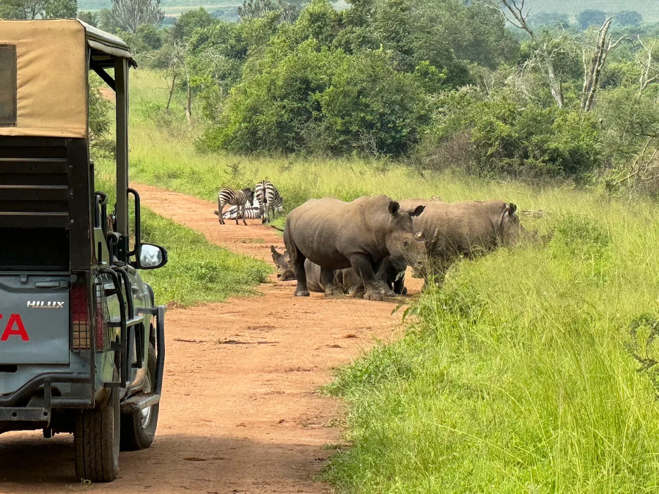 Plan Your Women Only Safari in Rwanda with Nextgen Safaris