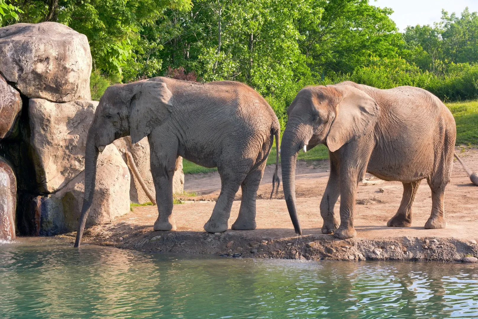 Elephant View Lodge by the Nile shoreline