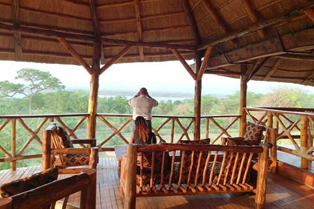 Elephant View
