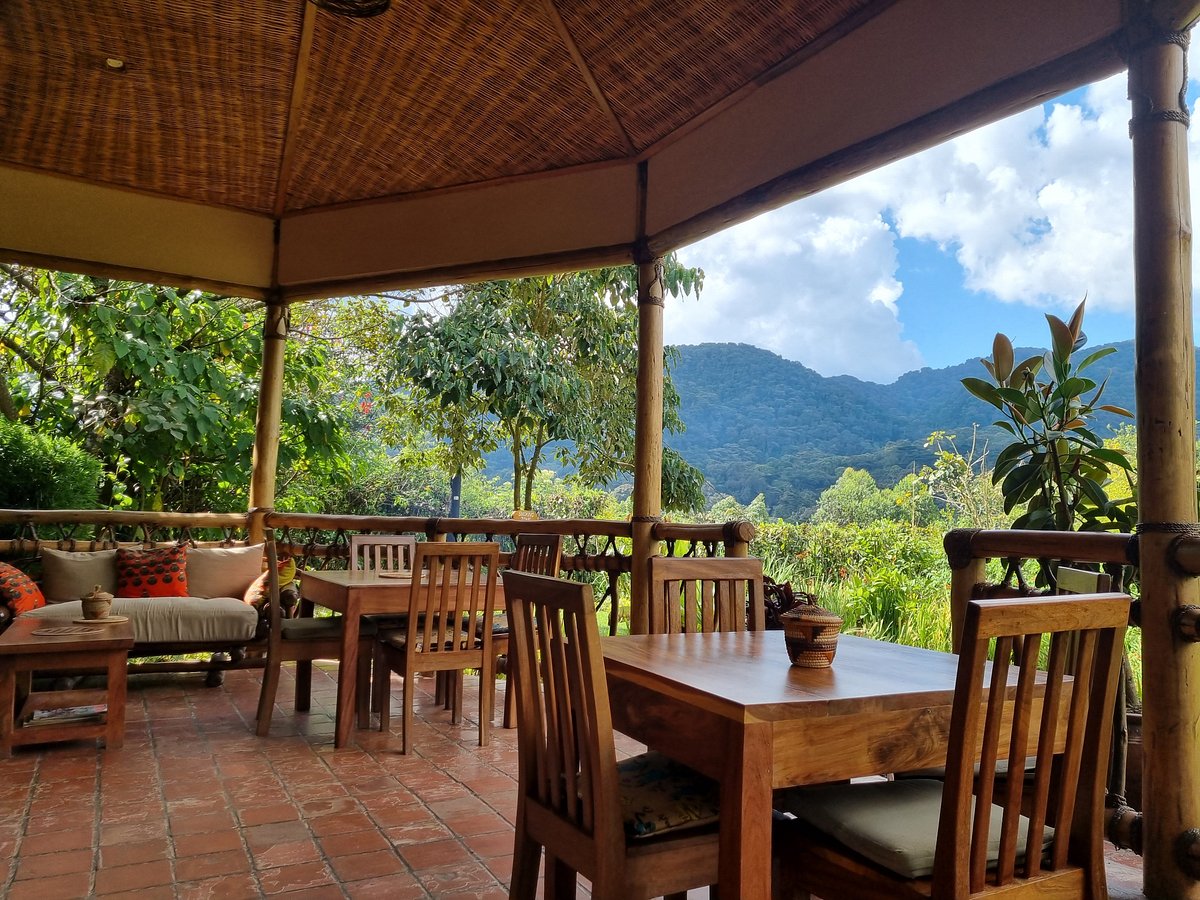 Ichumbi Gorilla Lodge scenic Bwindi landscape