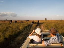 Romantic safari honeymoon experience Africa