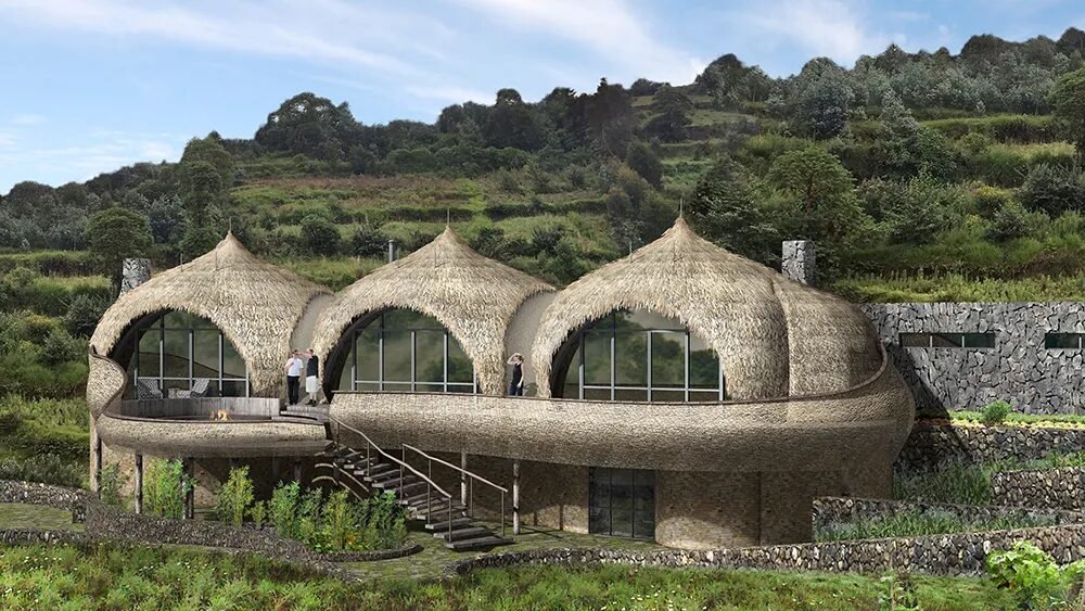 Gorilla trekking Rwanda forest encounter