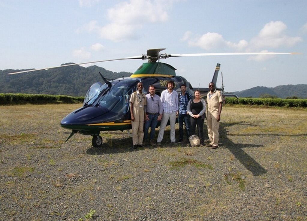 Gorilla family in Volcanoes National Park Rwanda