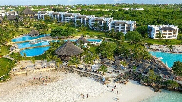 Wildlife encounter on safari honeymoon