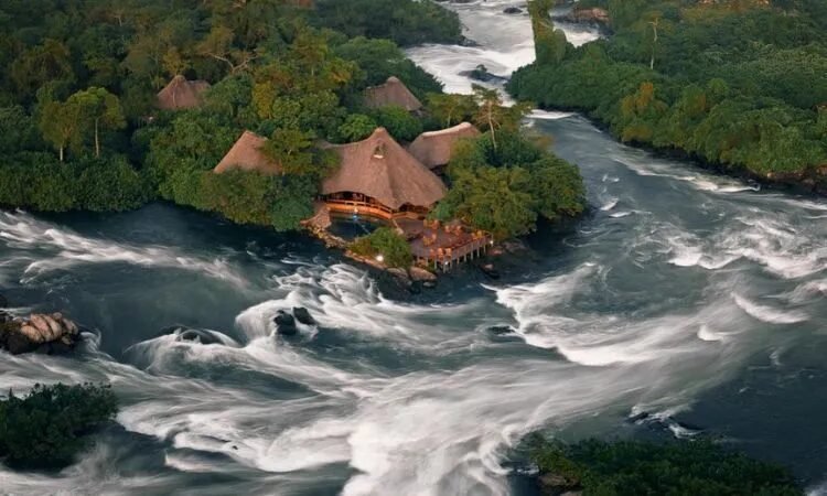 Uganda luxury safari lodge and wildlife experience