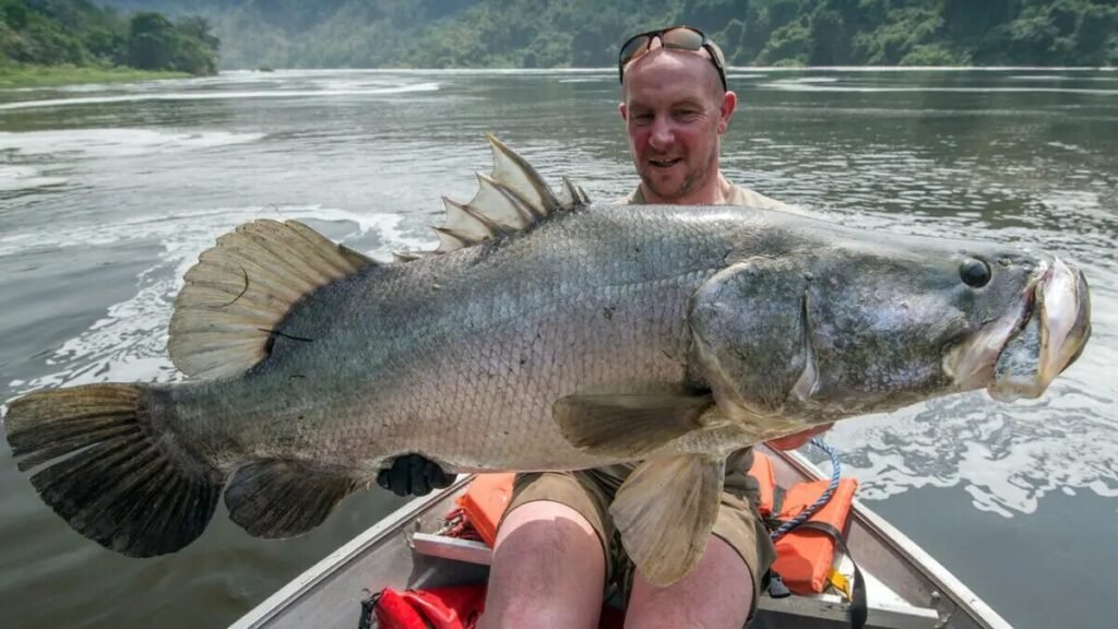 Nile Perch Fishing Tours in Uganda – Complete Guide for Anglers.