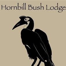 Nextgen Safaris logo