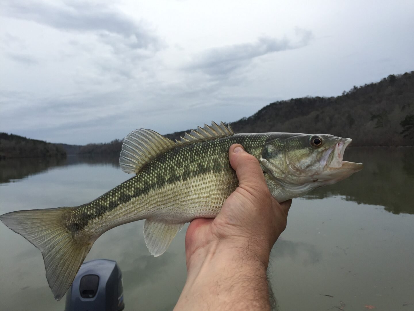 Sport Fishing Tours in Uganda